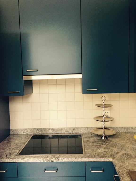 Avliving City Flat Basel With Roof Garden Εξωτερικό φωτογραφία